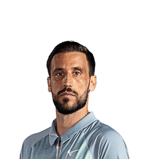 Damir Dzumhur
