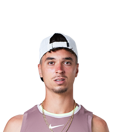Dino Prizmic